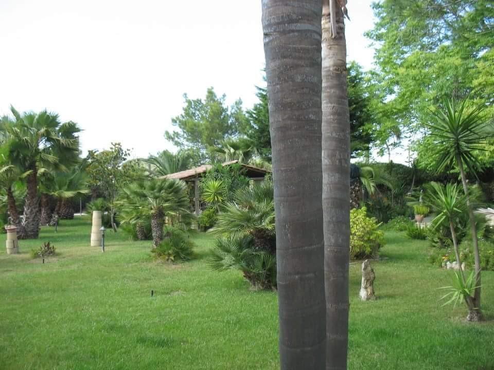 Villa Cecilia Matino Esterno foto